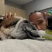 Roscoe mascota Lewis Hamilton se encuentra en coma