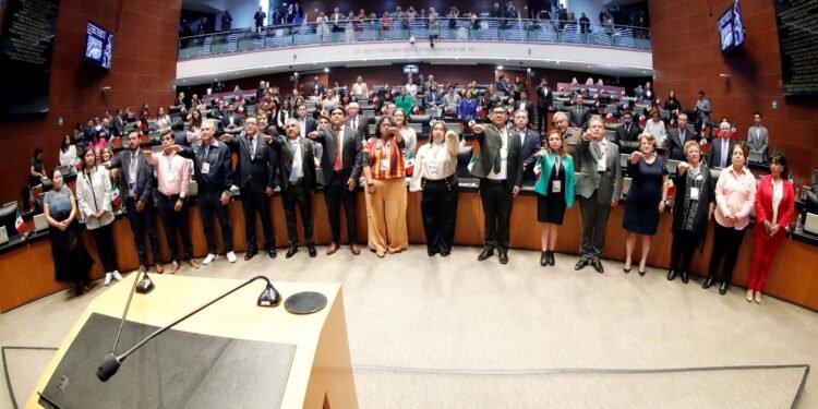 Rinden protesta integrantes del Consejo del Sistema Nacional de Búsqueda