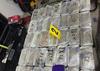 Aseguran más de 300 kilos de droga escondida en bodega en Tijuana, Baja California