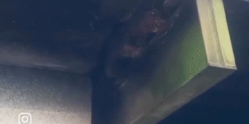 Puente en Nezahualcóyotl a punto del colapso.