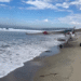 Aterrizaje de emergencia en playas de San Diego