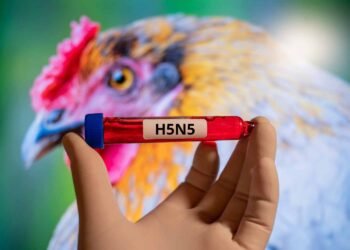 Confirman Primer Caso Humano de Gripe Aviar H5N5 en Estados Unidos