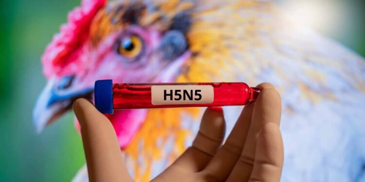 Confirman Primer Caso Humano de Gripe Aviar H5N5 en Estados Unidos