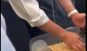 Detienen a hombre por traficar tarántulas en Azcapotzalco CDMX