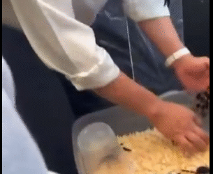 Detienen a hombre por traficar tarántulas en Azcapotzalco CDMX