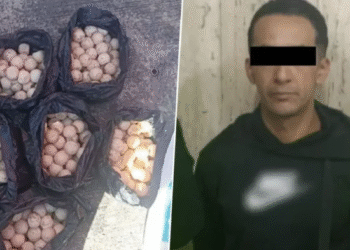 Detienen a sujeto que transportaba 360 huevos de tortugas marinas en el Metro de CDMX