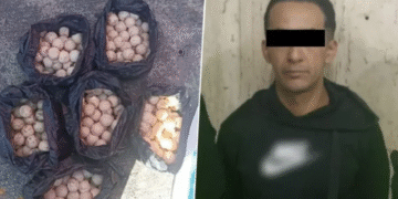 Detienen a sujeto que transportaba 360 huevos de tortugas marinas en el Metro de CDMX