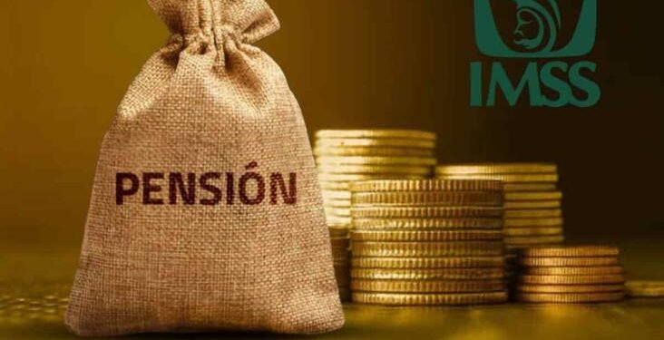 SCJN elimina la doble pensión del IMSS
