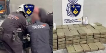 Policía de España desmantela una oficina del CJNG