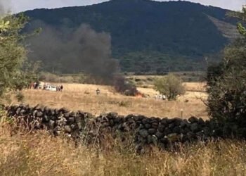 Desplome de avioneta en Purépero, Michoacán, deja al menos 5 lesionados graves