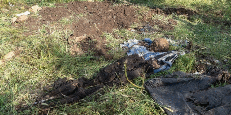 FGE de Guanajuato halla fosa clandestina en predio de la carretera Silao-Irapuato