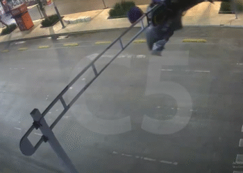 Paracaidista queda atorado en semáforo de avenida Balderas en el Centro