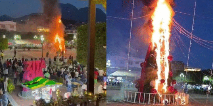 Queman árbol de Navidad en protesta por muerte de una joven