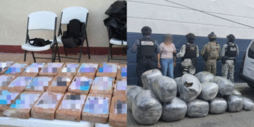 Marina aseguró 30 kilos de cocaína y 192 de mariguana en Acapulco