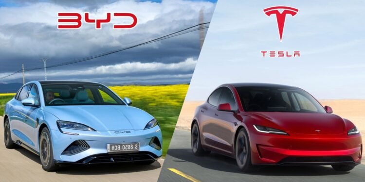 BYD supera a Tesla y se convierte en el mayor fabricante de vehículos eléctricos del mundo