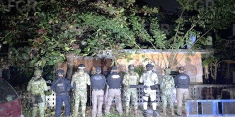 Aseguran tigre de bengala durante cateo federal en Coatzintla, Veracruz