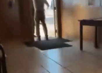 Ecuador protesta por intento de incursión del ICE en su consulado en Mineápolis