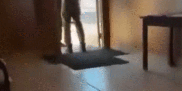 Ecuador protesta por intento de incursión del ICE en su consulado en Mineápolis