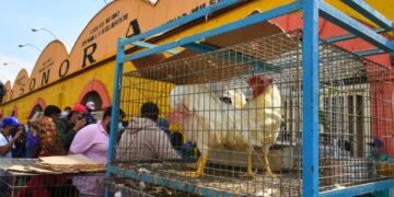 En el mercado de Sonora sigue la venta clandestina de animales