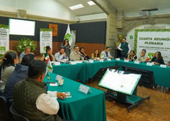 Partido Verde pondrá ‘vigilantes’ a alcaldes de Morena en CDMX