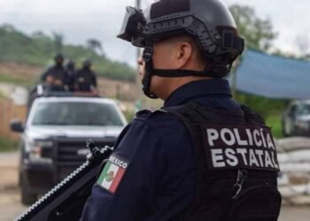 Hallan cuatro cadáveres en rancho de Veracruz