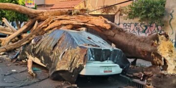 Murió adulto mayor al evacuar edificio por sismo en CDMX; reportan 12 heridos