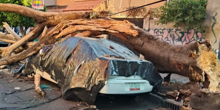 Murió adulto mayor al evacuar edificio por sismo en CDMX; reportan 12 heridos