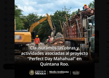 Clausura Profepa proyecto turístico en Mahahual por daño a manglar y selva costera