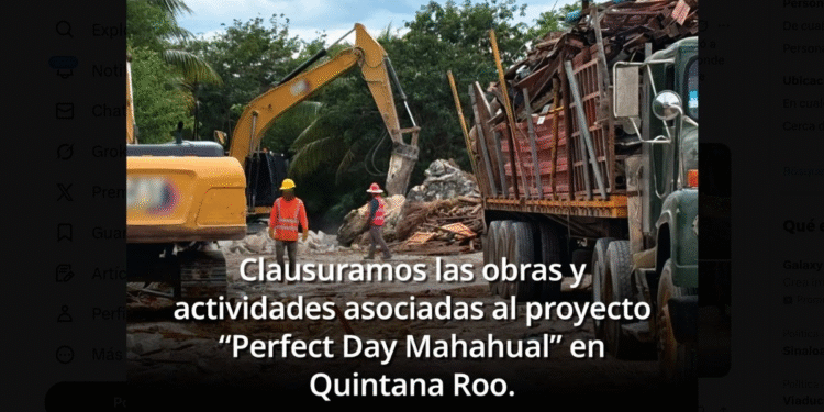 Clausura Profepa proyecto turístico en Mahahual por daño a manglar y selva costera