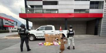 Decomisa GN 80 paquetes de narcóticos en empresa de envíos de Nuevo León