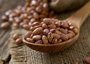 Productores de frijol exigen pagos atrasados y amenazan con bloqueo en Tamaulipas