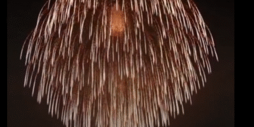 Japón lanzó el fuego artificial más grande del mundo