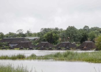 Más de 100 muertos por lluvias torrenciales e inundaciones en el sur de África