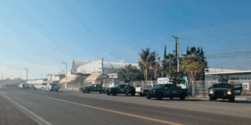 Abandonan cuatro cuerpos desmembrados en carretera de Michoacán