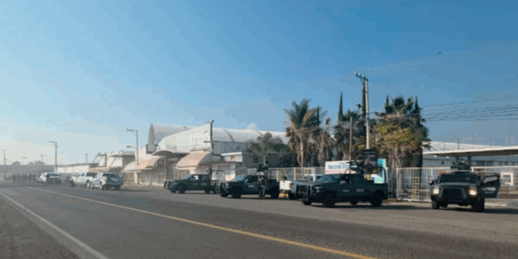 Abandonan cuatro cuerpos desmembrados en carretera de Michoacán