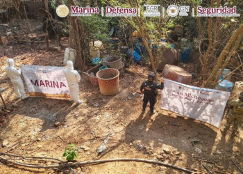 Desmantelan tres ‘narcolaboratorios’ de mentanfetamina en Michoacán, Durango y Sinaloa