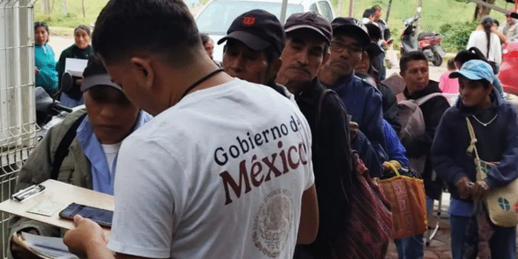 Prepárate para el Registro de Pensión Bienestar 30 a 64 Años