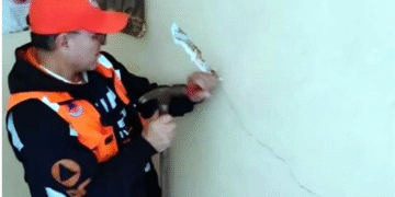 Revisan 85 inmuebles en Cuauhtémoc tras sismo de 6.5 grados; evalúan riesgos estructurales