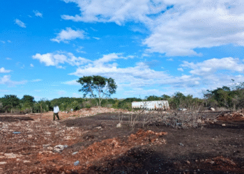 Yucatán: Profepa clausura predio en Kinchil por manejo irregular de excremento de aves
