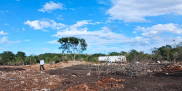 Yucatán: Profepa clausura predio en Kinchil por manejo irregular de excremento de aves