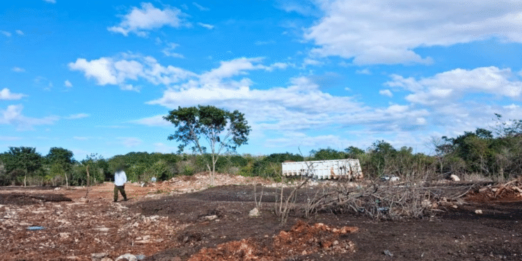 Yucatán: Profepa clausura predio en Kinchil por manejo irregular de excremento de aves