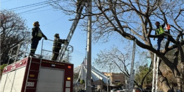 “Rescate en Coyoacán”: Bajan a hombre intoxicado de un poste de 6 metros