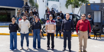 Cero tolerancia al maltrato animal: Estefanía Mercado lanza Brigada de Protección Animal en Playa del Carmen