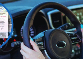 Trámite 100% digital: Así puedes renovar tu tarjeta de circulación sin salir de casa