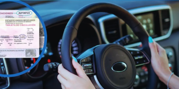 Trámite 100% digital: Así puedes renovar tu tarjeta de circulación sin salir de casa