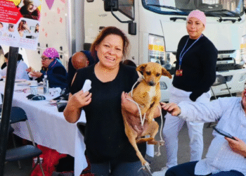 Xochimilco convierte la protección animal en política pública permanente