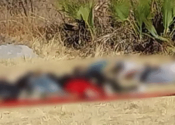 Abandonaron seis cuerpos maniatados en cerro de Puebla