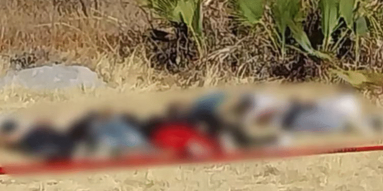Abandonaron seis cuerpos maniatados en cerro de Puebla