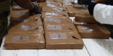 Aseguran 163 kilos de cocaína en San Luis Río Colorado