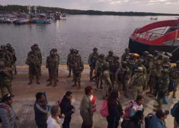 Marina y Ejército desmantelan puntos de venta de drogas en Holbox y Cozumel